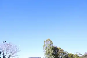 2025-06-30 Scarborough Park - IMG_2853_compressed_q50.webp